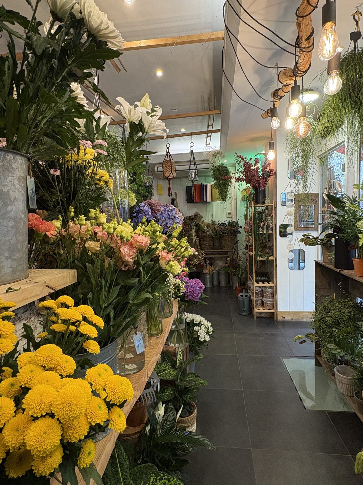 L’intérieur de la boutique : fleurs, plantes et suspensions