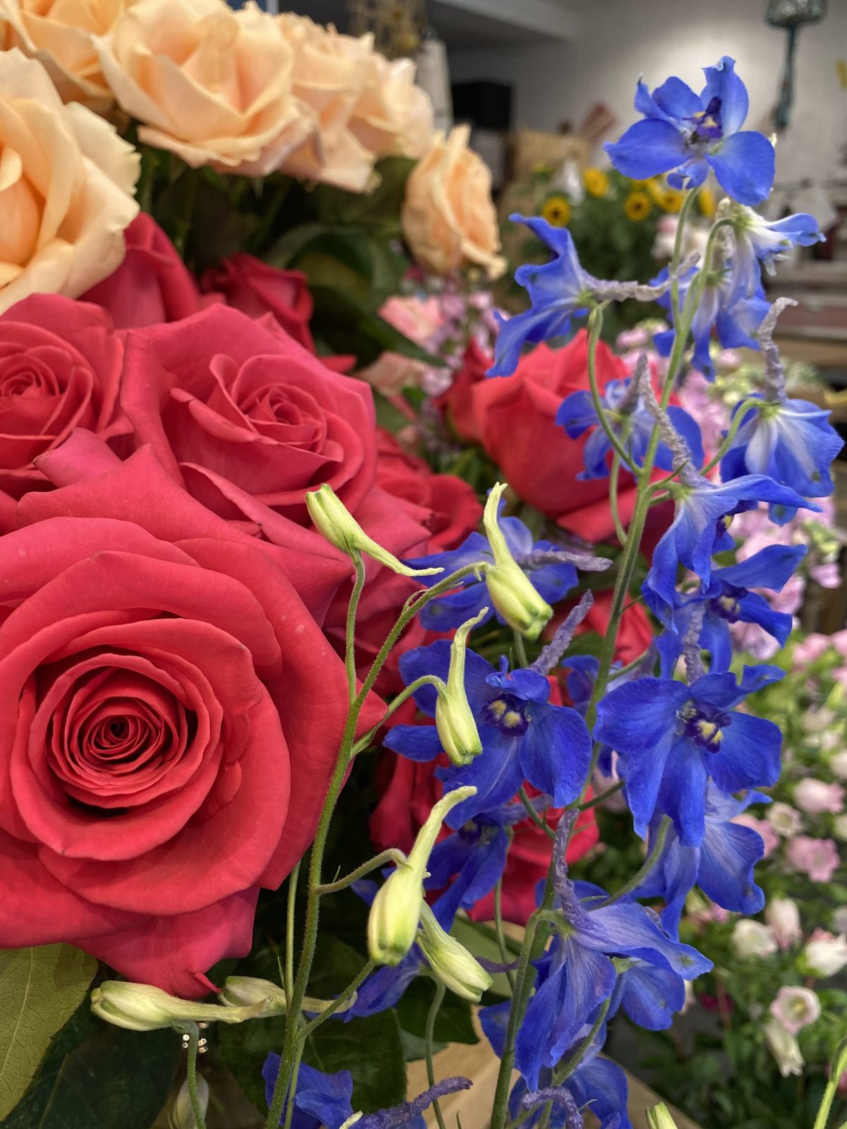 Roses rouges et delphiniums bleus